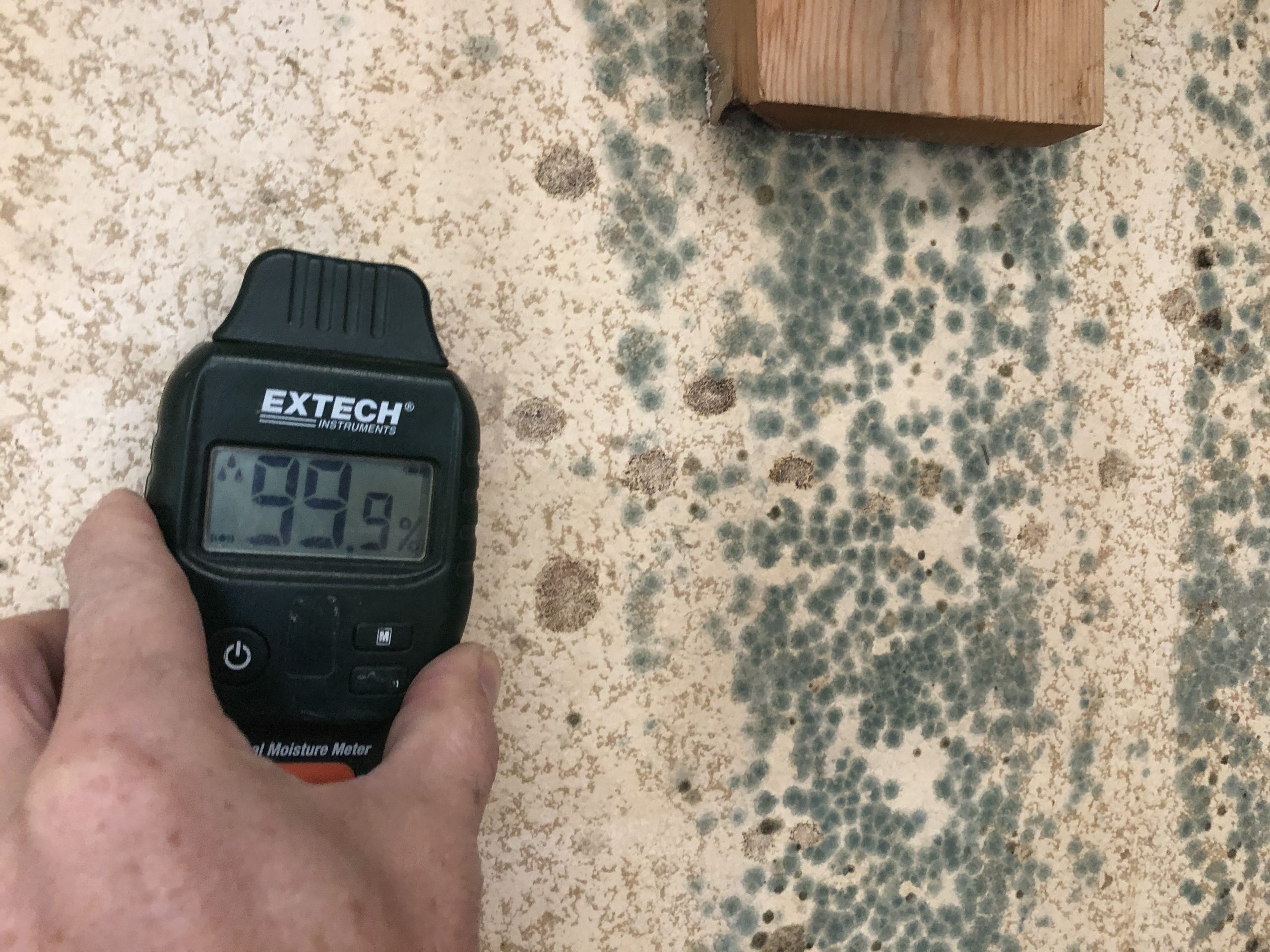 Moisture meter and Mold growth in Carlsbad, Ca